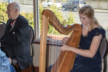 harpist playing