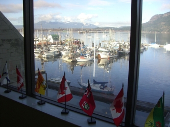 harbour full of fishing boats