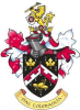 Arms of Laurie Patten